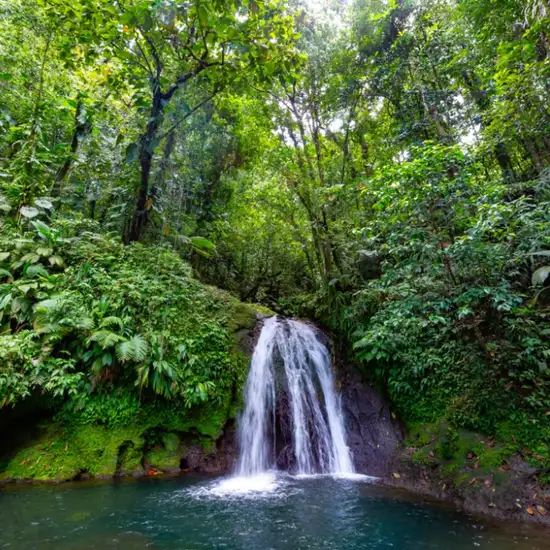 Image related to Parc National de la Guadeloupe