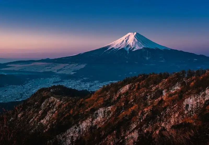 Tokyo - Mt. Fuji with Bullet Train & Lunch
