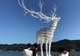 Explore the Reborn-Art Festival Sites