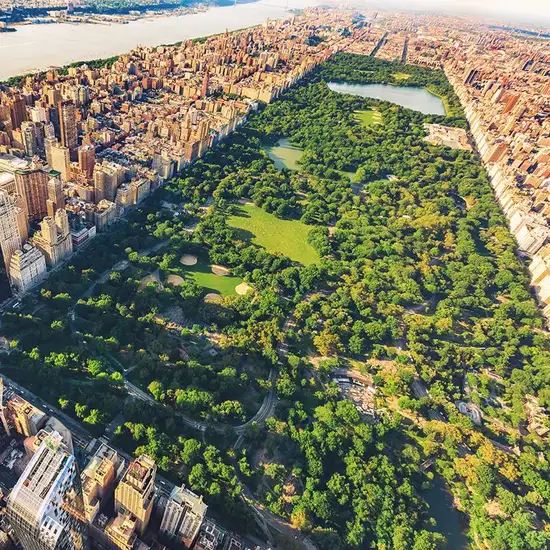Image related to Central Park