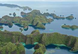 IgluCruise.Application.ViewModels.Shared.WebImageViewModel?.Description