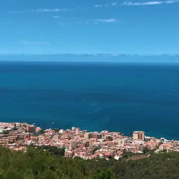 Image related to Algiers