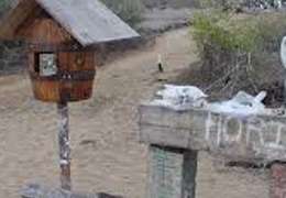 IgluCruise.Application.ViewModels.Shared.WebImageViewModel?.Description