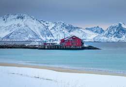 IgluCruise.Application.ViewModels.Shared.WebImageViewModel?.Description
