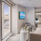 Overview of a Suite