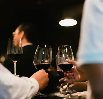 Hunter Valley Wine Tasting Experience