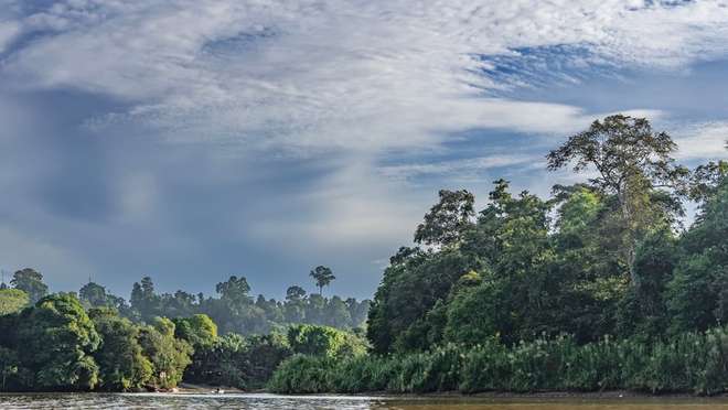 Enjoy a Pitas Lake Wildlife River Cruising Experience