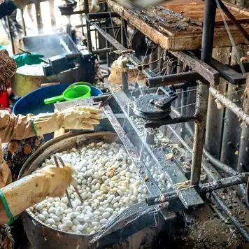 Image related to Traditional Silk Factory