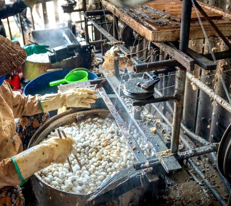 Traditional Silk Factory