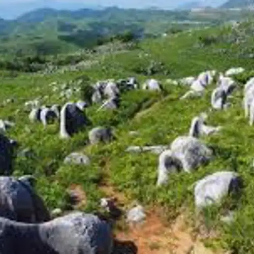 Image related to Hiraodai Karst Plateau