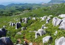 IgluCruise.Application.ViewModels.Shared.WebImageViewModel?.Description