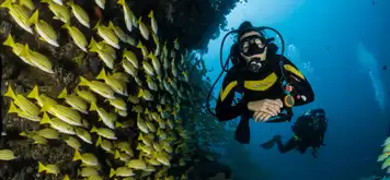 Scuba Diving