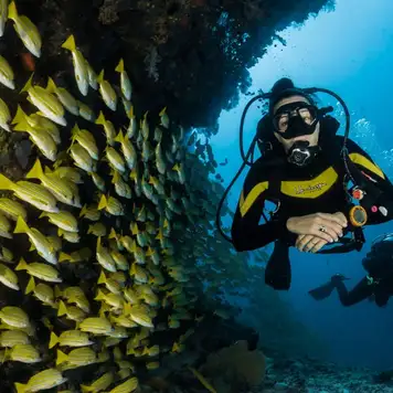 Image related to Scuba Diving