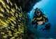 Scuba Diving