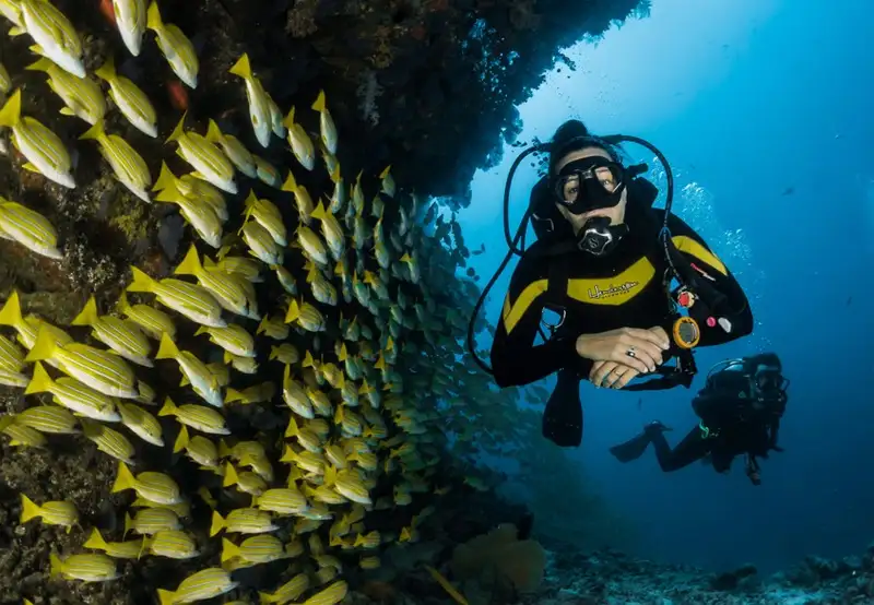 Scuba Diving