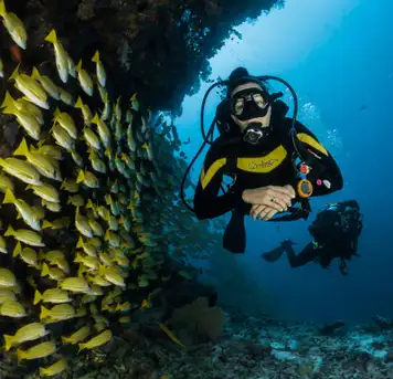 Image related to Scuba Diving