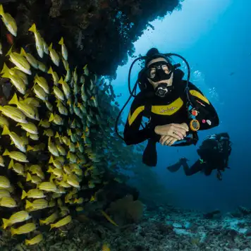 Image related to Scuba Diving