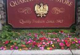 IgluCruise.Application.ViewModels.Shared.WebImageViewModel?.Description