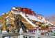 Tibetan Highlights, China's Pandas, Terracotta Army and Great Wall (11 nights)