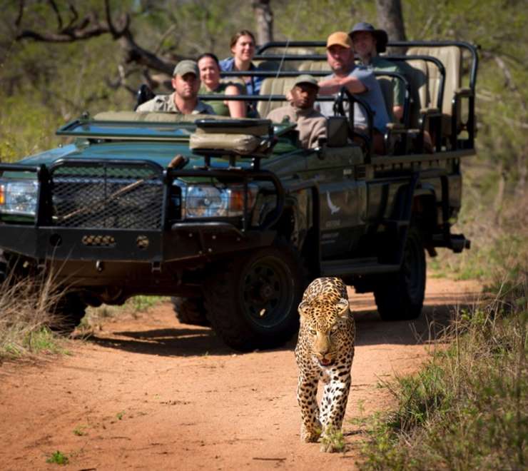 Cape Town, Sabi Sands, & Jo’Burg 7 Night Tour