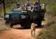 Cape Town, Sabi Sands, & Jo’Burg 7 Night Tour