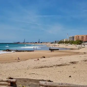 Image related to Praia de Matosinhos