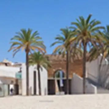 Image related to Image related to Es Baluard Museum of Modern & Contemporary Art