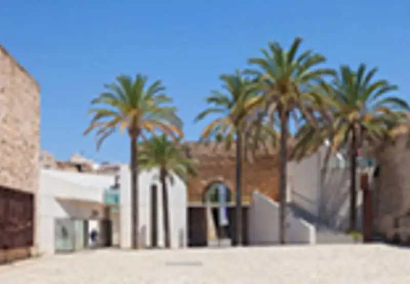 Image related to Es Baluard Museum of Modern & Contemporary Art