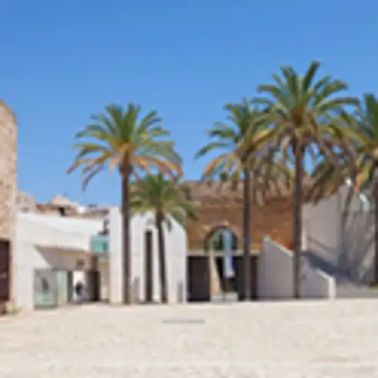 Image related to Image related to Es Baluard Museum of Modern & Contemporary Art