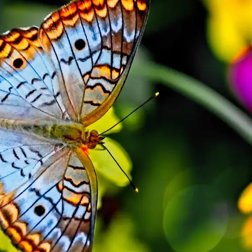 Image related to Botanic Gardens