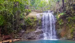 Image related to Colo-i-Suva Forest Park
