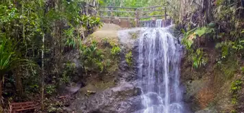 Image related to Image related to Colo-i-Suva Forest Park