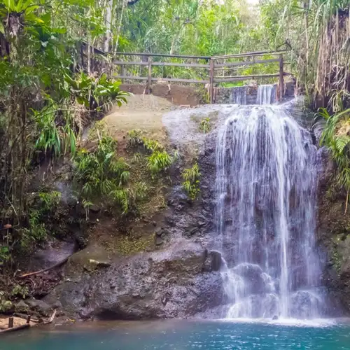 Image related to Colo-i-Suva Forest Park