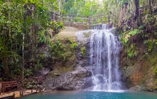 Image related to Colo-i-Suva Forest Park