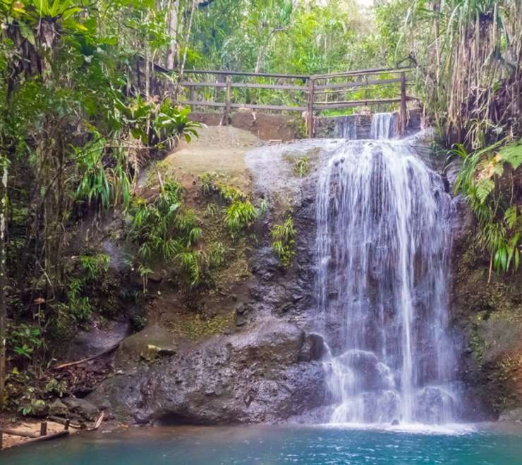 Colo-i-Suva Forest Park