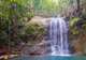 Colo-i-Suva Forest Park