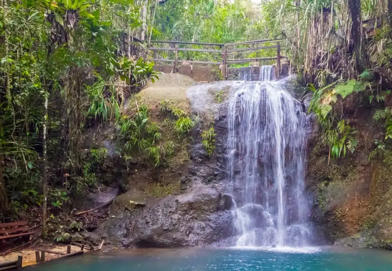 Image related to Colo-i-Suva Forest Park
