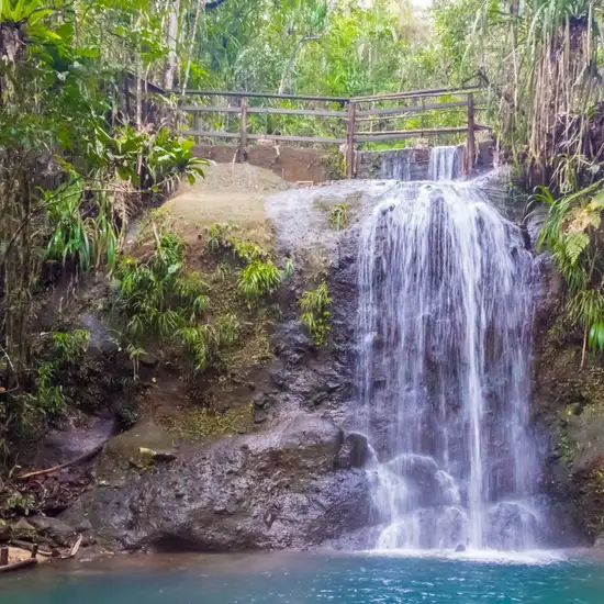 Image related to Colo-i-Suva Forest Park