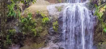 Image related to Colo-i-Suva Forest Park