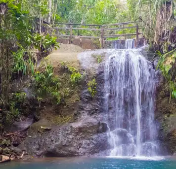 Image related to Colo-i-Suva Forest Park