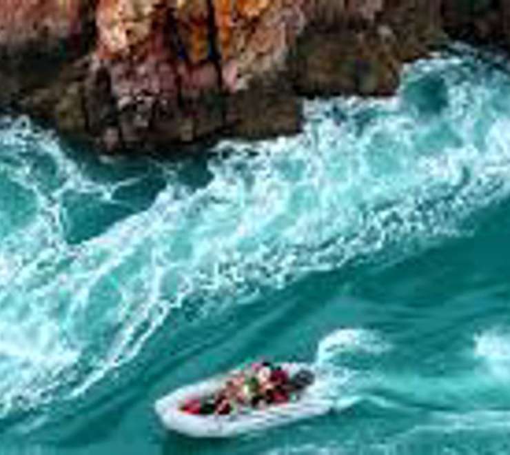 Zodiac Expeditions