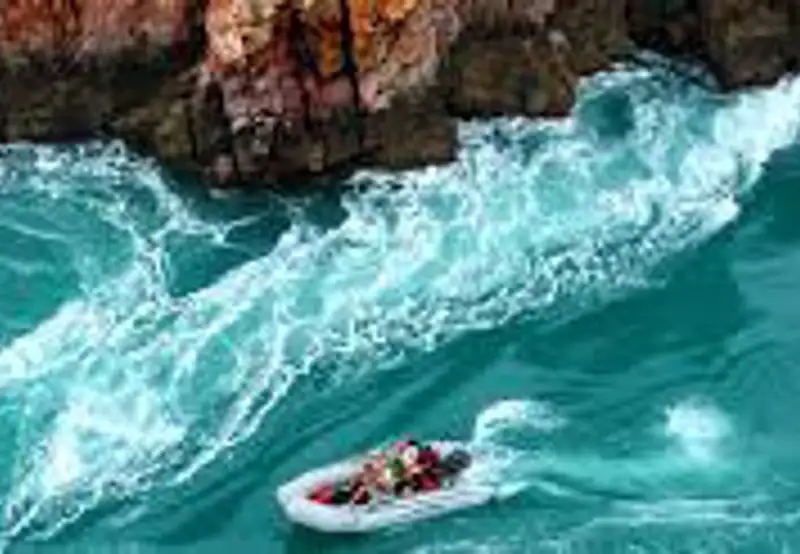 Zodiac Expeditions
