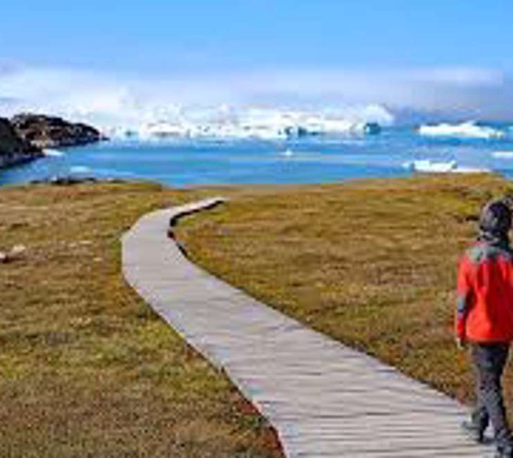Hike the Yellow and Blue Trails