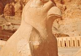 IgluCruise.Application.ViewModels.Shared.WebImageViewModel?.Description