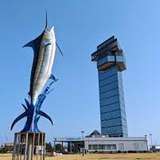 Image related to Oarai Marine Tower