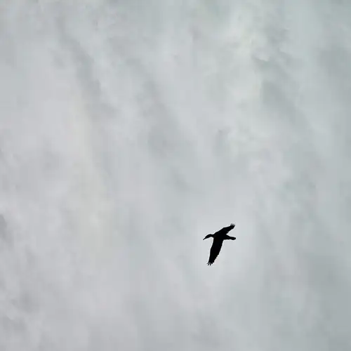 Image related to Annandale Falls