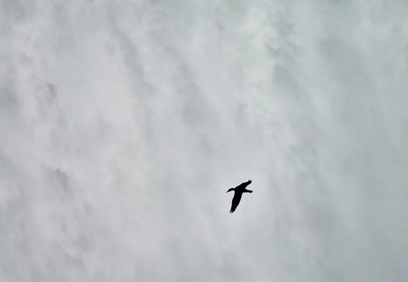 Image related to Annandale Falls