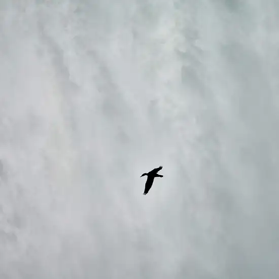 Image related to Annandale Falls