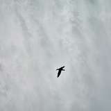Photo of Thing to do