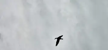 Image related to Annandale Falls